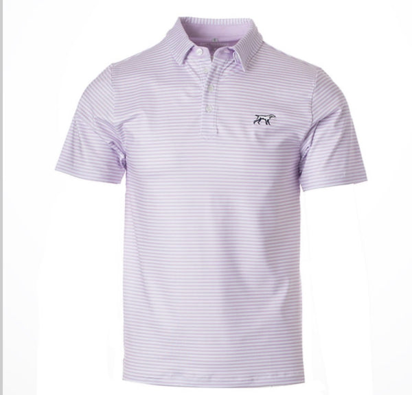 Fieldstone Marshall performance polo in lavender and white for boys, KH Baby