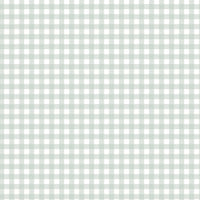 Mint Gingham Bamboo Romper lifestyle baby boutique