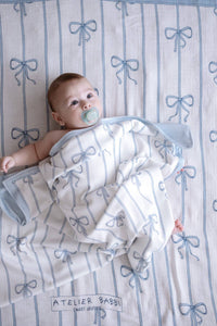 Blue Ribbon Bundle - Stroller Cushion, Cover, burp cloth and Blanket