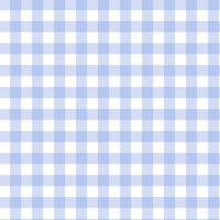 Blue Gingham Bamboo Blanket lifestyle baby boutique