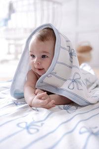 Blue Ribbon Bundle - Stroller Cushion, Cover, burp cloth and Blanket